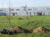 IMG_0251 (Large)